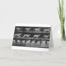 Search for 19th cards Dog