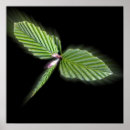 Search for dragonflies posters Green