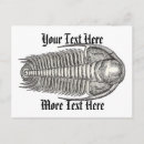 Search for paleontologist postcards Antique