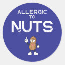 Search for allergy awareness stickers No nuts