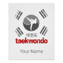 Search for taekwondo posters Fighter