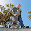 Search for vision skateboards Cool
