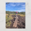 Search for pierced postcards Nature