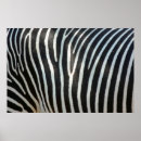 Search for hoof art Black