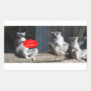 Search for lemurs labels Funny