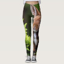Search for rabbits leggings Pet