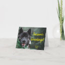 Search for akita christmas cards Pet