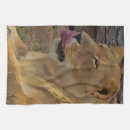 Search for cat accessories tea towels Jungle