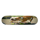 Search for pit skateboards Animal
