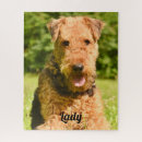 Search for airedale terrier puzzles Animal