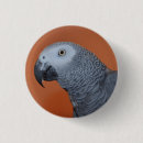 Search for parrot gifts African grey