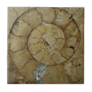 Search for ammonite home decor Spiral