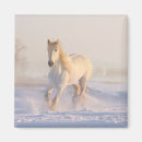 Search for ponies magnets Equestrian