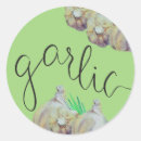 Search for garlic Herb