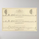 Search for statistics posters United