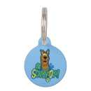 Search for gang bandanas Scooby doo