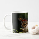 Search for butterfly migration mugs Monarch