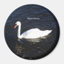 Search for muted magnets Bird