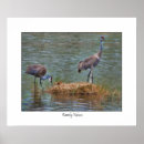 Search for chicks art Animals