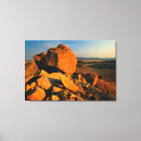 Search for barren canvas prints Colour image