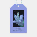 Search for macro gift wrap Beautiful
