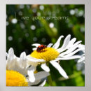 Search for ladybug quotes Photography
