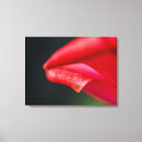 Search for macro canvas prints Botanical