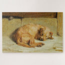 Search for english cocker spaniel puzzles Dog
