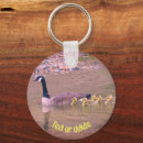 Search for canada key rings Nature