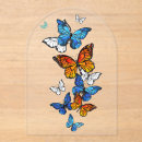 Search for moth invitations White