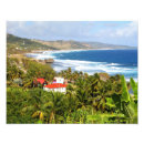 Search for barbados posters Photography