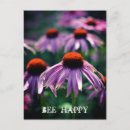 Search for bee image postcards Flower
