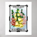 Search for digitalis posters Flower