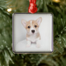 Search for welsh decorations christmas tree decorations Corgi