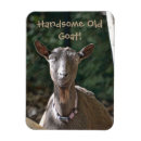 Search for handsome magnets Animal