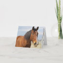 Search for blaze cards Horse