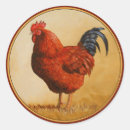 Search for red rooster stickers Bird