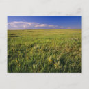 Search for remote postcards Landscape