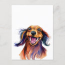Search for sausage dog postcards Doxie