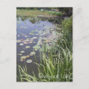 Search for lily pad postcards Water