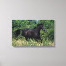 Search for thoroughbred canvas prints Moving