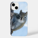 Search for squirrels iphone cases Winter