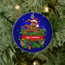 Search for rabbit christmas tree decorations Xmas