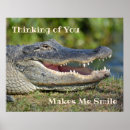 Search for funny alligator posters Alligators