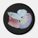 Search for aquarium magnets Watercolor