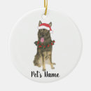 Search for german shepherd christmas decor Santa