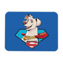 Search for superman rectangular magnets Superhero pet movie