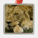 Search for mcdonalds christmas tree decorations Mary ann mcdonald