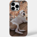 Search for pitbulls iphone cases Animals