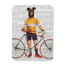 Search for greyhound magnets Bike